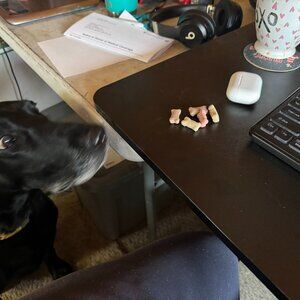 Silver Jeans Sam Skinny Womens 28x29 Distressed Light Wash Denim Actual 32x30